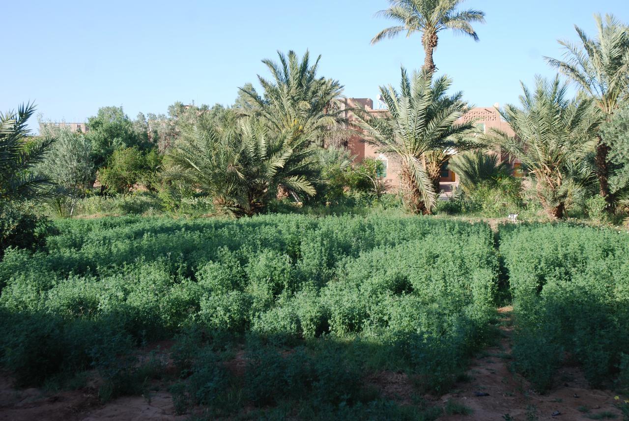 d'hôte Jnane-Dar Diafa Tamgrout Extérieur photo