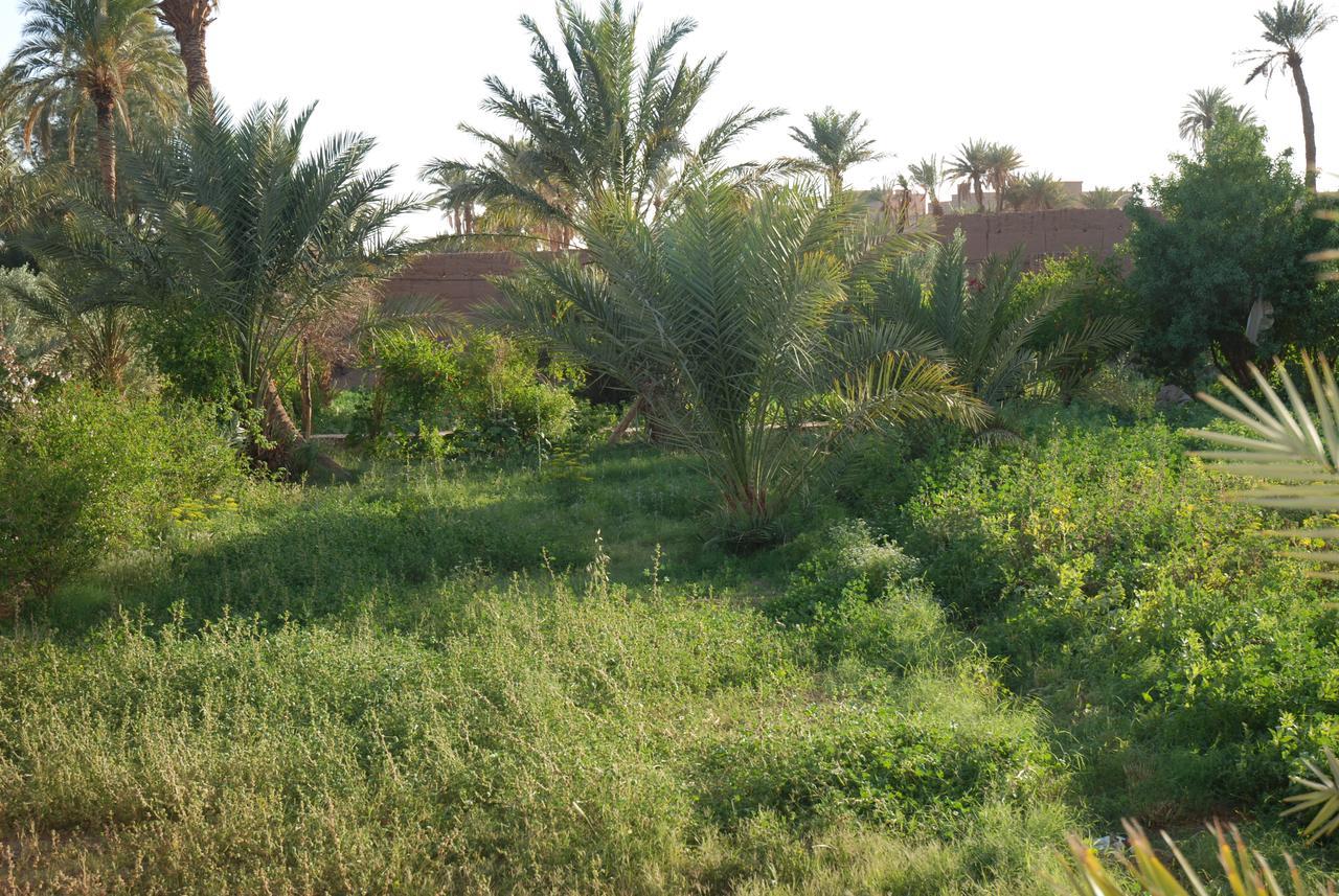 d'hôte Jnane-Dar Diafa Tamgrout Extérieur photo