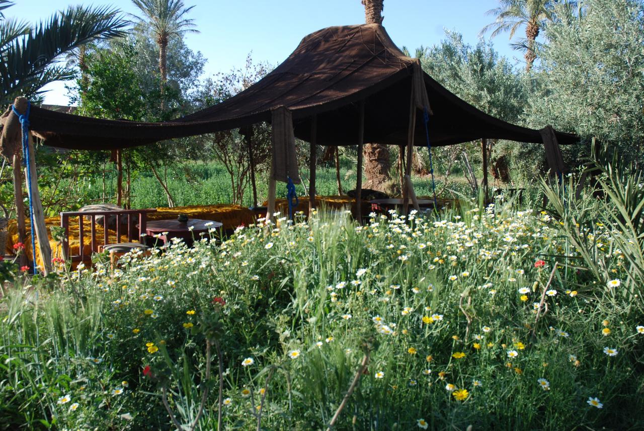 d'hôte Jnane-Dar Diafa Tamgrout Extérieur photo