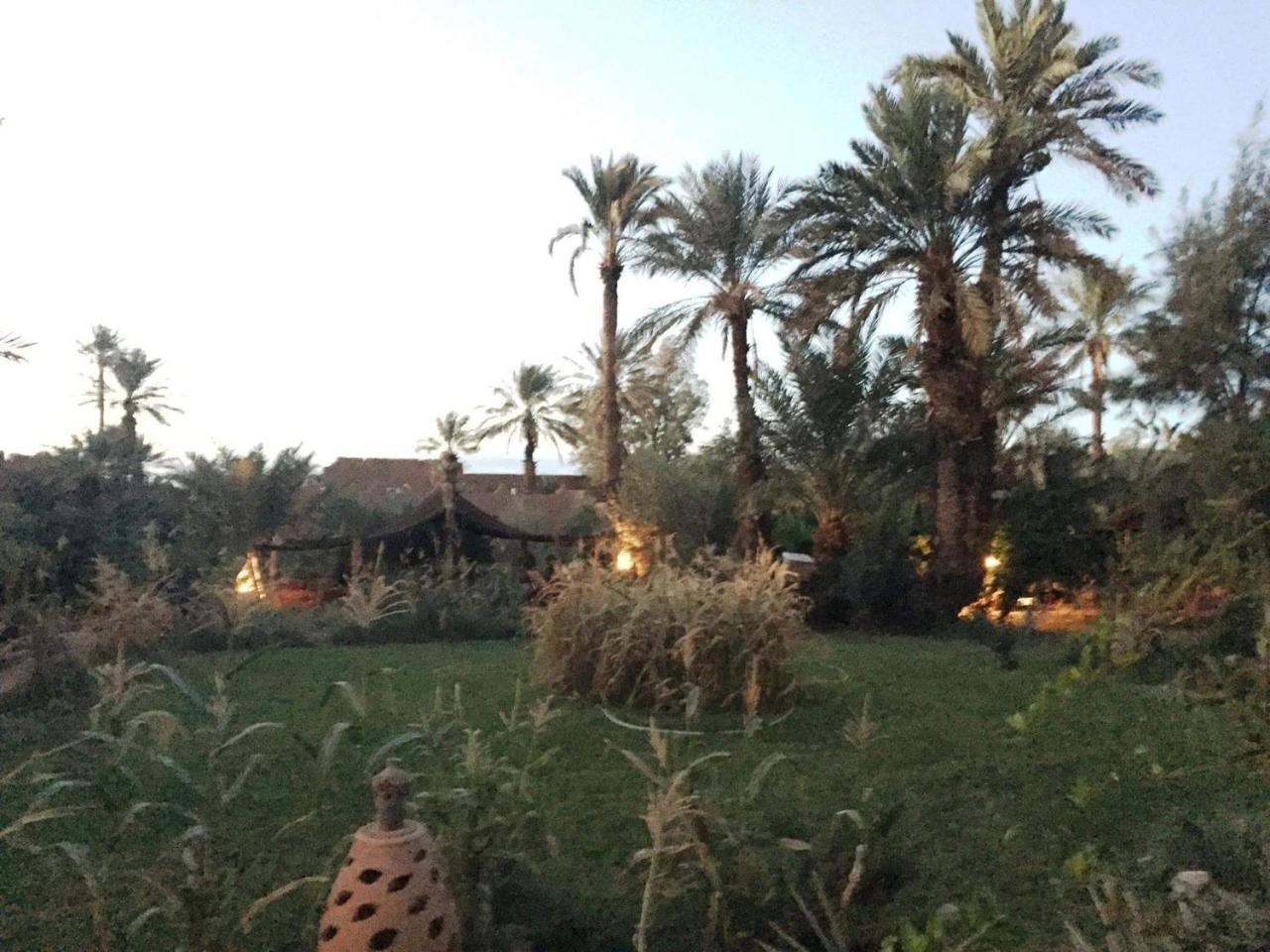 d'hôte Jnane-Dar Diafa Tamgrout Extérieur photo